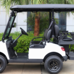 Passenger 2 + 2 electric cart