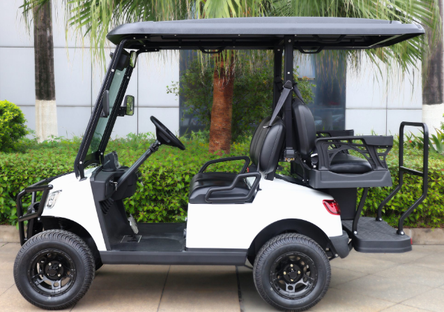 Passenger 2+2 Electric Cart