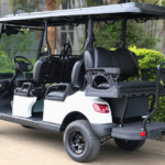 Passenger 4 + 2 electric cart